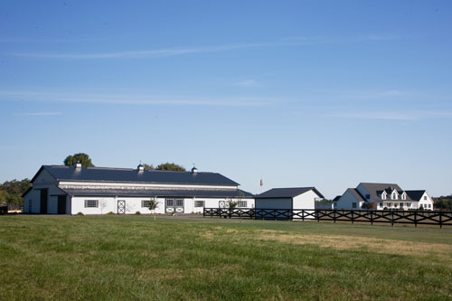 50’ x 120’ building with 2 – 20’ x 120’ lean-to sheds with stalls alt view
